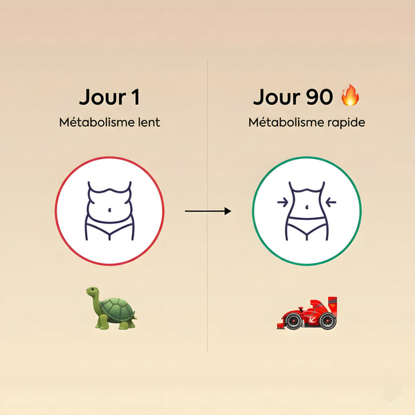 Stimulation métabolique 🔥